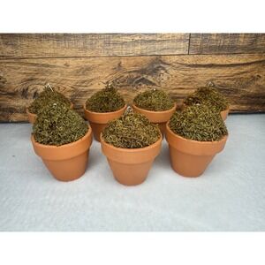 Pottery Barn Williams Sonoma Moss Topiary Place Card Holders Set of 6 Terracotta
